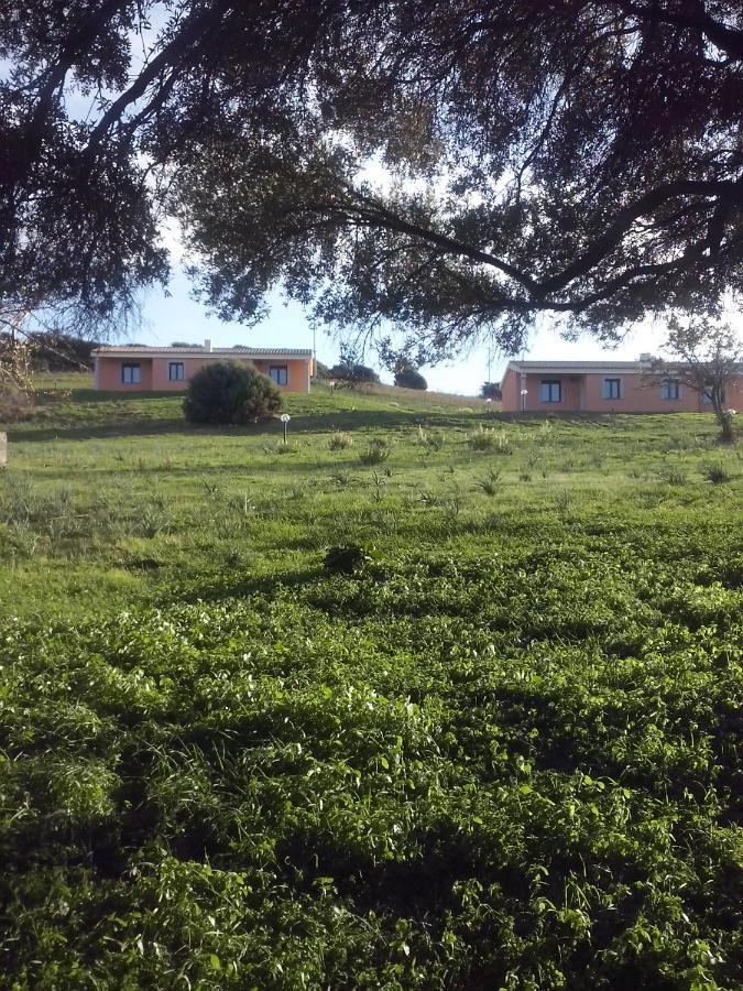 אגליאנטו Agriturismo Gli Olivastri, Appartamento La Rosa Dei Venti Con Piscina E Solarium , Vista Mare ,Climatizzatore ,Wifi מראה חיצוני תמונה