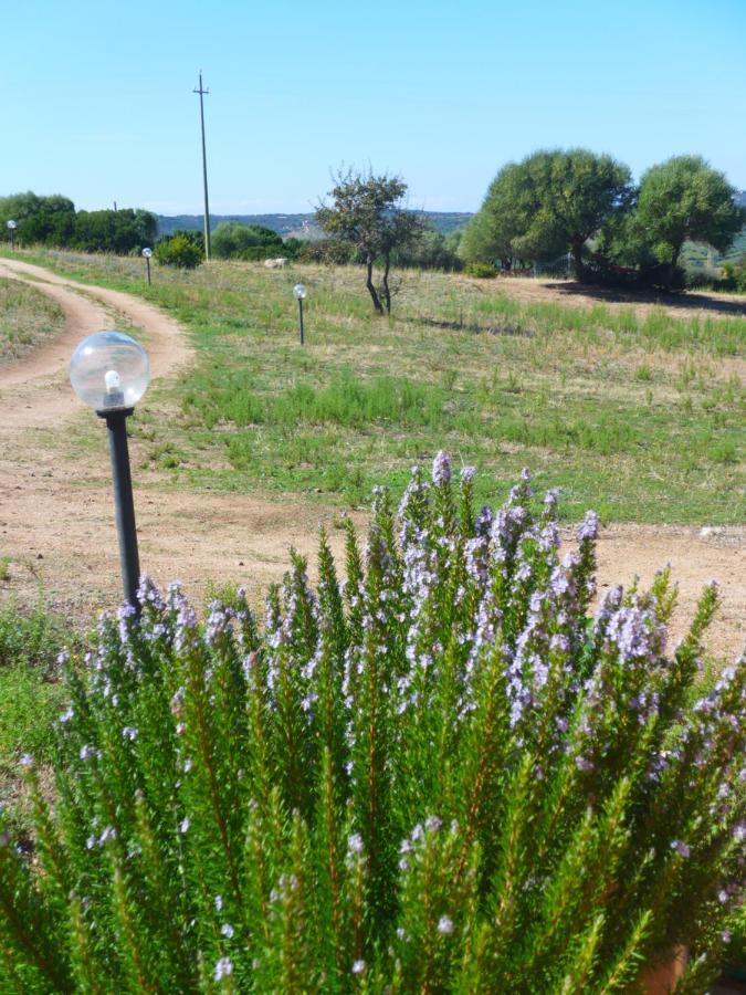 אגליאנטו Agriturismo Gli Olivastri, Appartamento La Rosa Dei Venti Con Piscina E Solarium , Vista Mare ,Climatizzatore ,Wifi מראה חיצוני תמונה