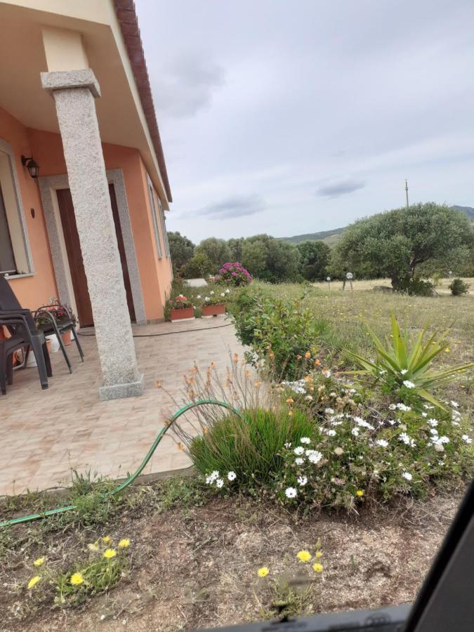 אגליאנטו Agriturismo Gli Olivastri, Appartamento La Rosa Dei Venti Con Piscina E Solarium , Vista Mare ,Climatizzatore ,Wifi מראה חיצוני תמונה