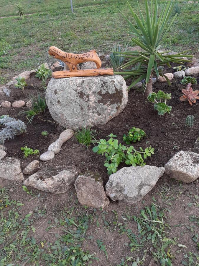 אגליאנטו Agriturismo Gli Olivastri, Appartamento La Rosa Dei Venti Con Piscina E Solarium , Vista Mare ,Climatizzatore ,Wifi מראה חיצוני תמונה