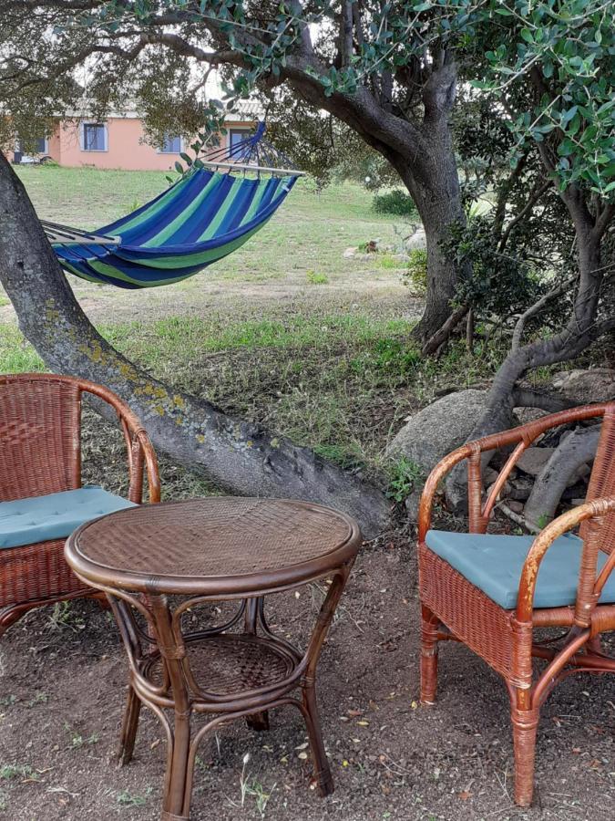אגליאנטו Agriturismo Gli Olivastri, Appartamento La Rosa Dei Venti Con Piscina E Solarium , Vista Mare ,Climatizzatore ,Wifi מראה חיצוני תמונה